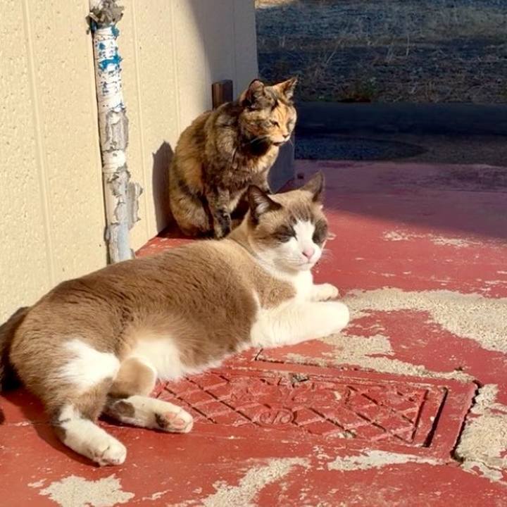 606dd5ab 7a61 41fd ae0f 9ea3a1c6cb45 1766139156289