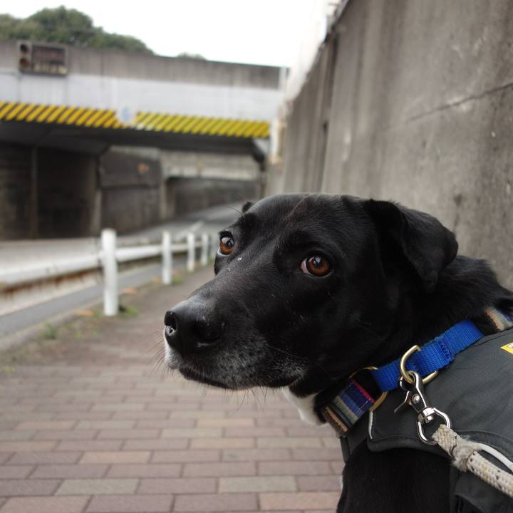 606de293 83eb 4452 a76b e0280c20b20c 1648257205924