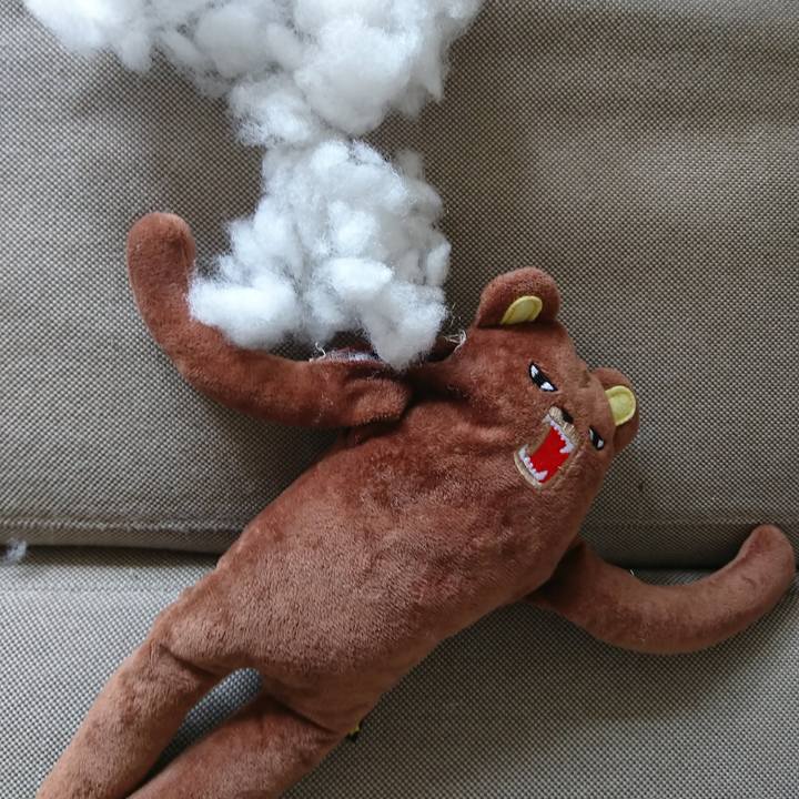 606e1680 01c9 470a a371 a092b0f09ab5 1731795366381