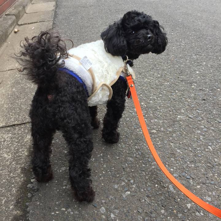 606e17c6 79ec 4460 ab0e 43df91ff645f 1519531226801