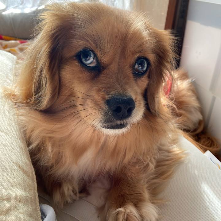 606e23ca f7a4 4d04 a40d 95eadd8aecef 1583544262460