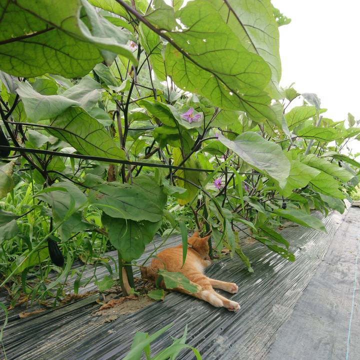 606e5092 8d34 43be bd5d 2b0e29e82c76 1596498493322