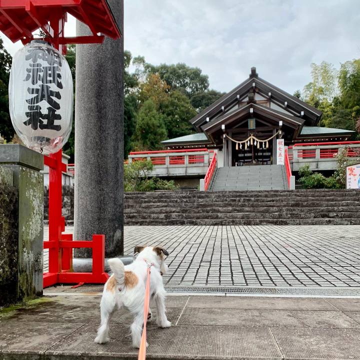 606e7a7b 4c49 467d b0bc 7b0ede0dba64 1669670317683