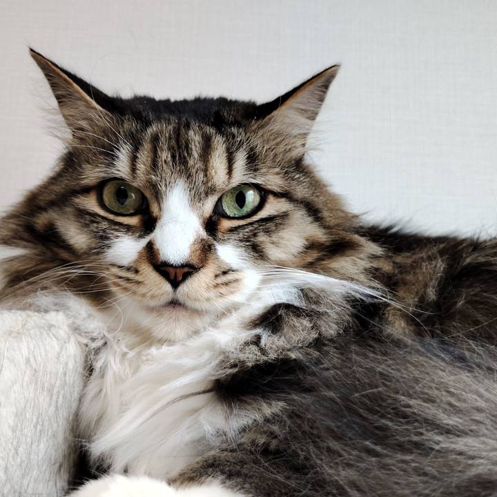 606ec87b 5d33 487e 883d 3be1acc8edea 1767077049722