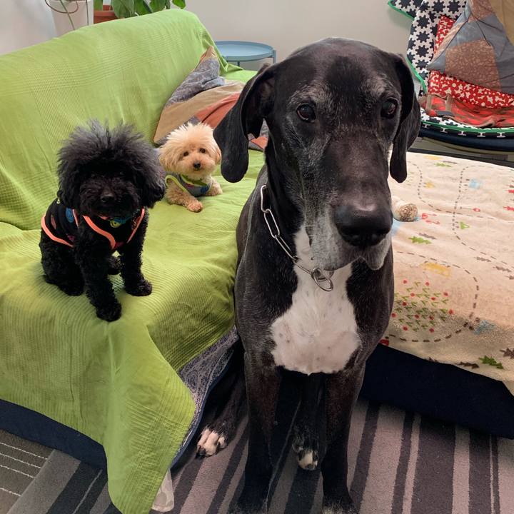 606ef80b e1d4 44a3 949b 6b623916abff 1558045403077