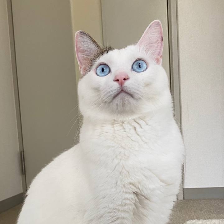 606f1f44 5f6e 4ef3 bad4 2d6d7b630b3b 1579751172152