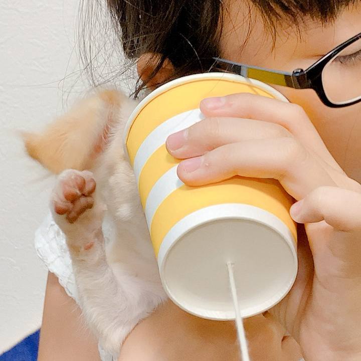 606f250e d9aa 4f6b 97de 9ff969337263 1592384974271