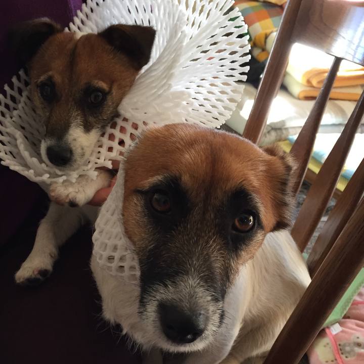 606f4632 cb63 4205 b3b8 3e058a27bc35 1518917300695