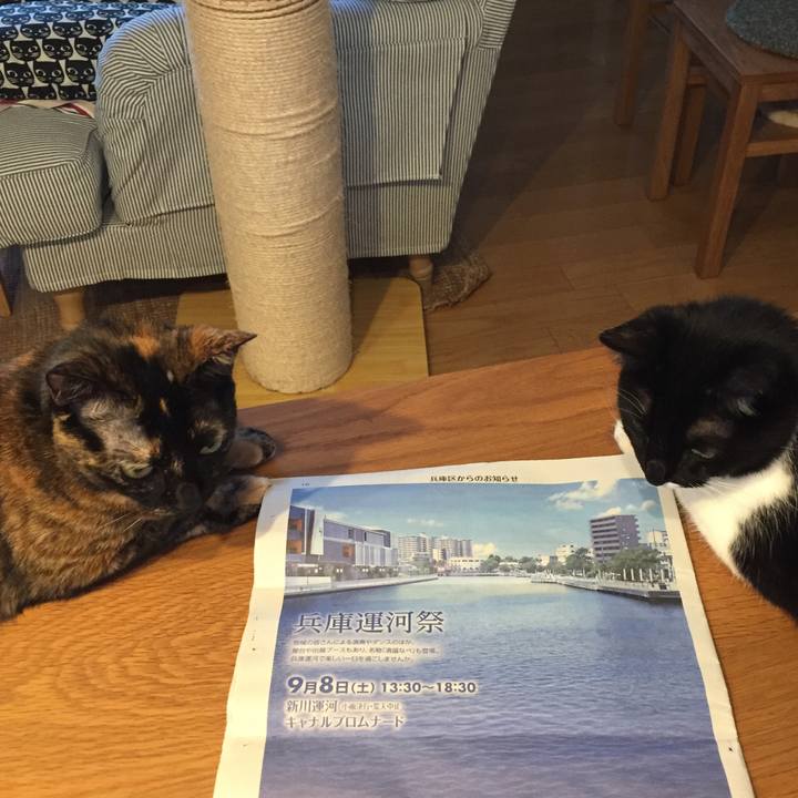 606f9808 95d6 469e 8af7 bd07c16d6525 1535101702002