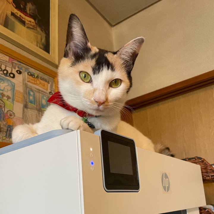 606fa3c9 7edd 4498 bf7b cc97ecc8ec5f 1702518025590