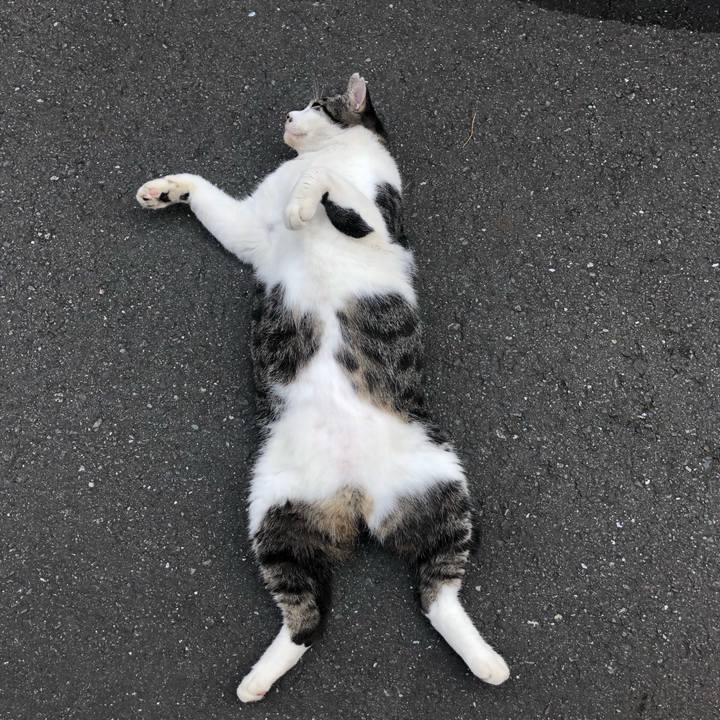 606fba3f c320 4b05 b6c2 9b3a91bfe687 1559217031361