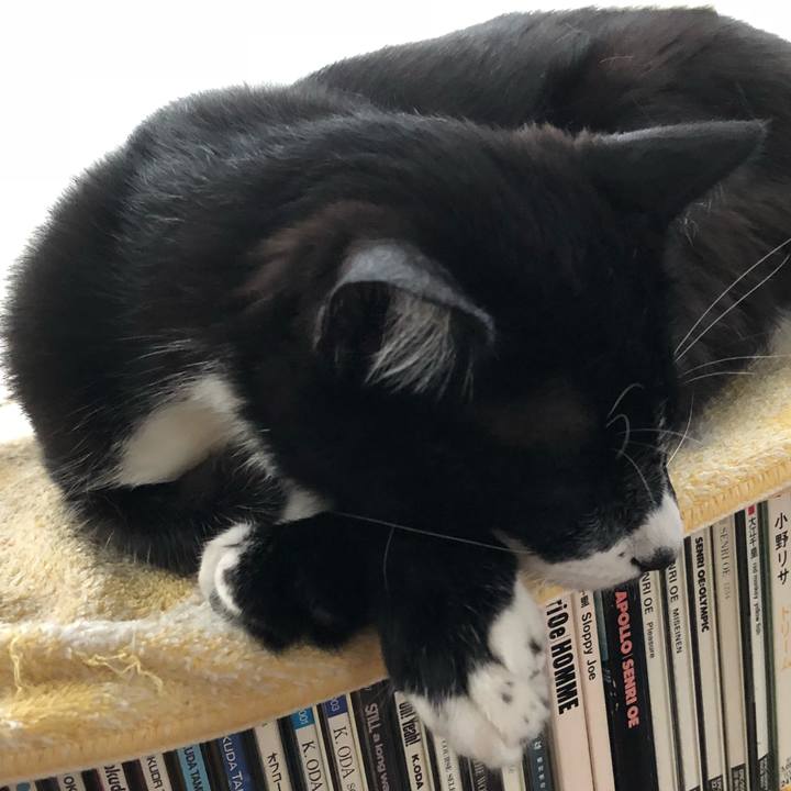 606fc8d9 4c25 4598 8264 2481bb79d710 1529760071624