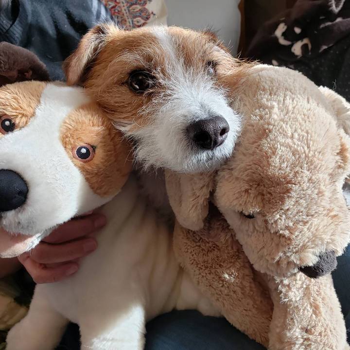 606fe626 679a 4bd1 aee3 491719427d90 1640680412256