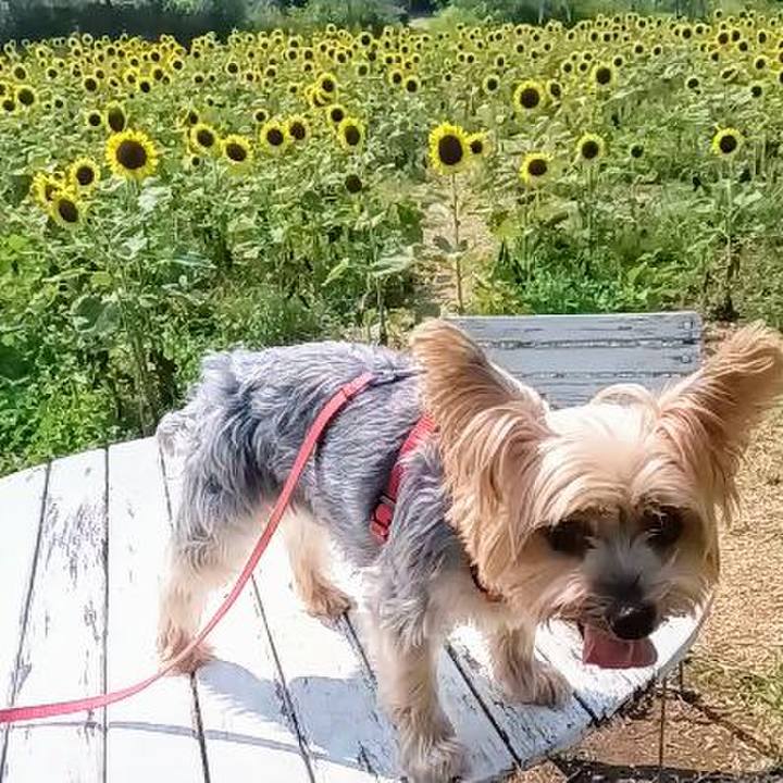 607015dc 87d6 4dd7 a2bd 46f791efbfbd 1758848583390