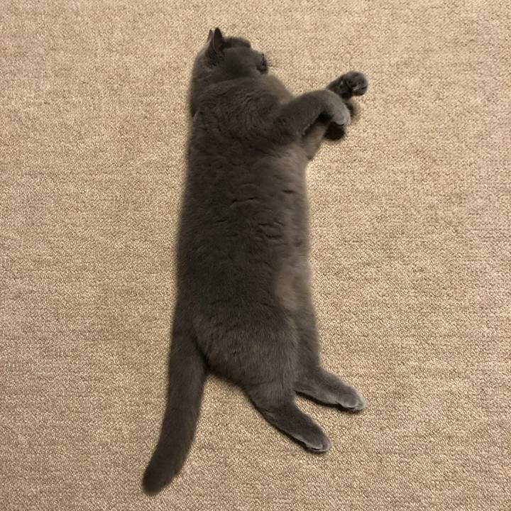 60701f8a 5c10 415f 9388 9c2231b1ec81 1619616324625