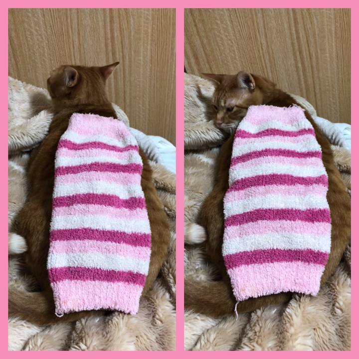 60709450 79e8 4776 808b a115cdc46207 1582715660214