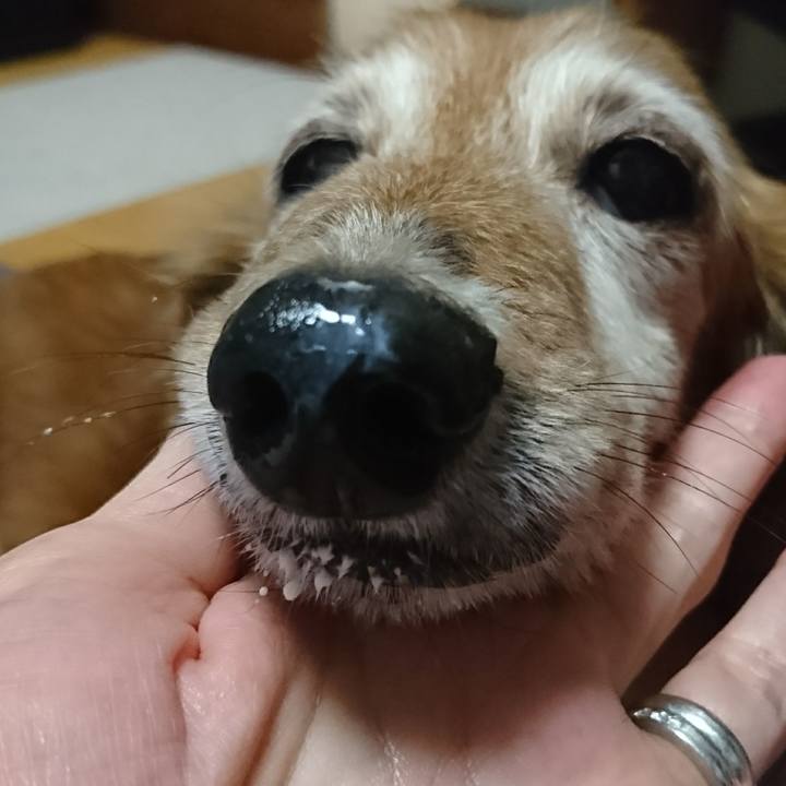 6070ac90 cfc3 4b3f aab3 ae5221969b04 1508463518112