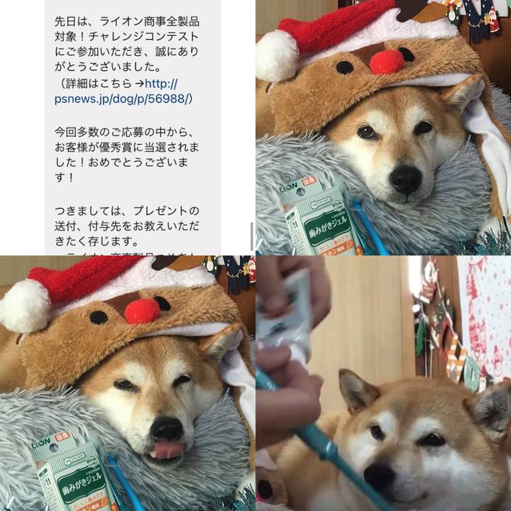 607113e1 a08b 4e7f 8dda 392dfc291b2f 1643350976561