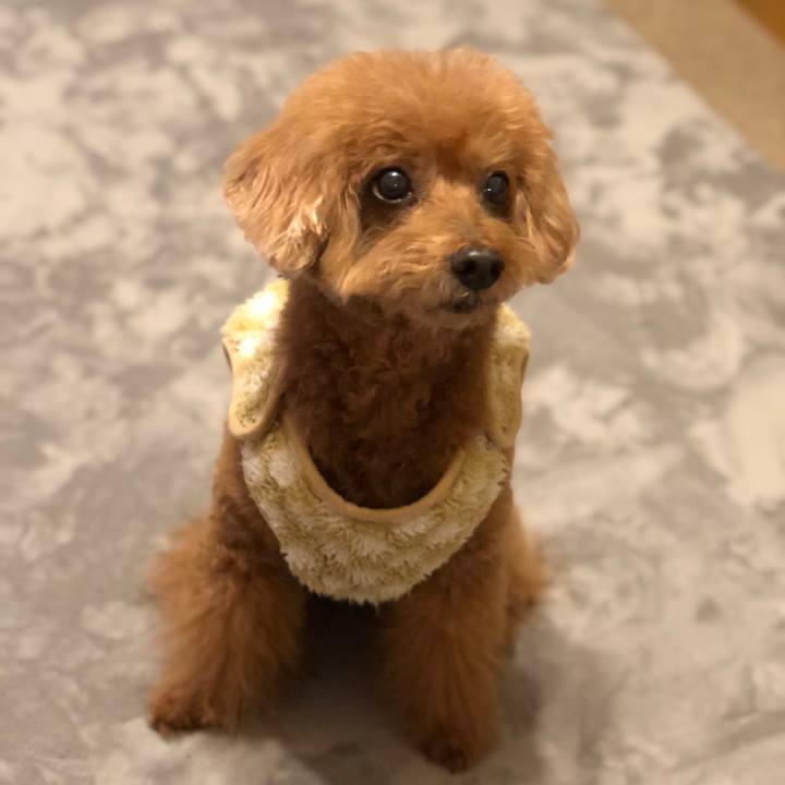 607113e8 456c 4d9e a7fc 4ca08fa13131 1541761983508