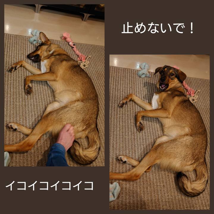 60714736 d128 4915 a5e9 98b58f4737ea 1705223492279