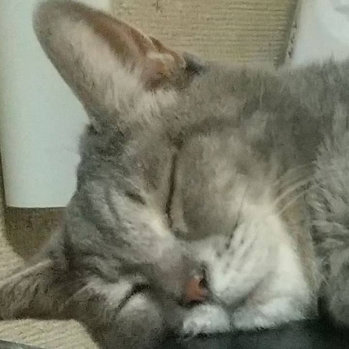 607151b3 409c 4b46 bafc 13588c4a0ec4 1664923379786