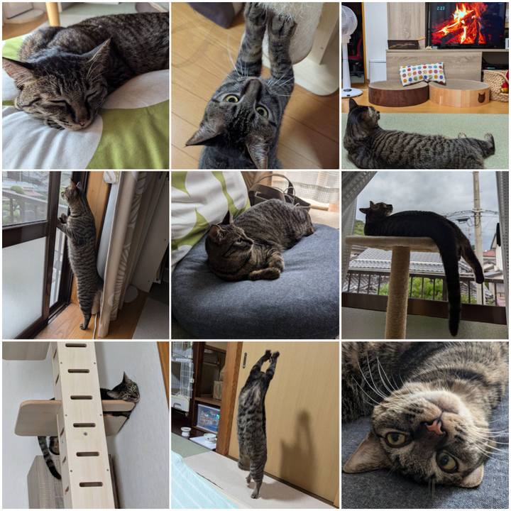 6071ac71 1ab4 4cfd bda0 967001851b1a 1723355789429