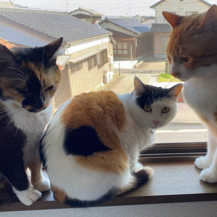 6071b895 fb33 490d 8108 2e1ebfcbd404 1649408480152