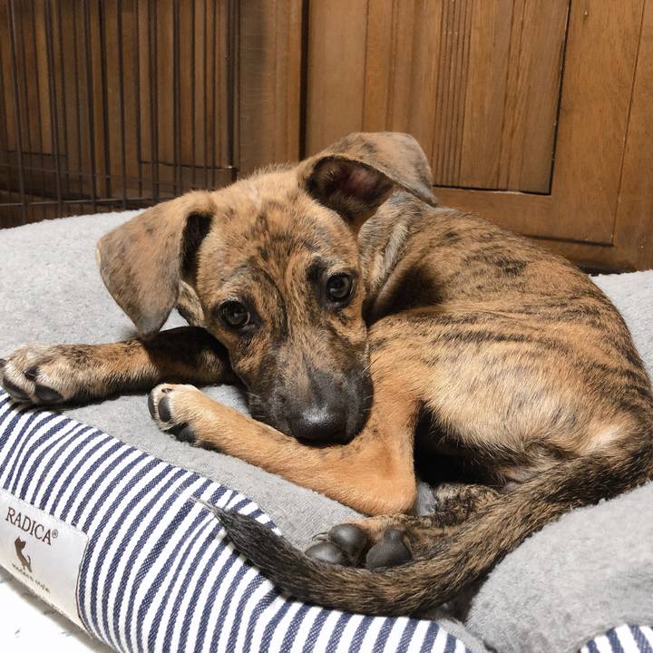 607214de 9f90 458c bfba 501cd0ba811e 1568160226856