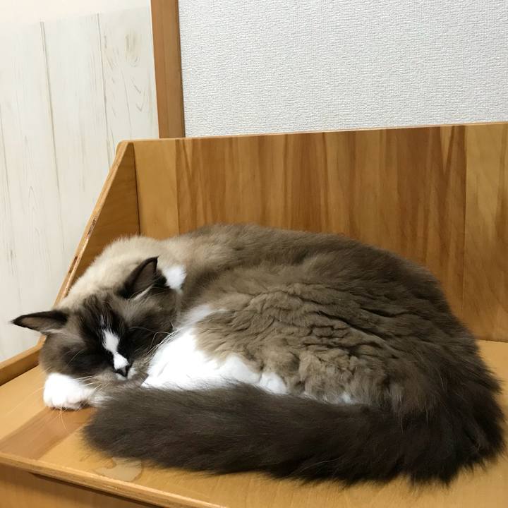 607244f9 9326 4e6f b644 a62bfb7c23d3 1508710429129