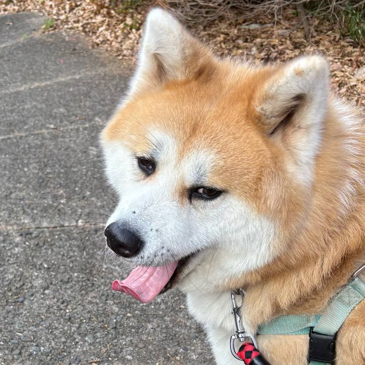 60726883 eccf 420f 93f9 b46040af6a0f 1737294051437