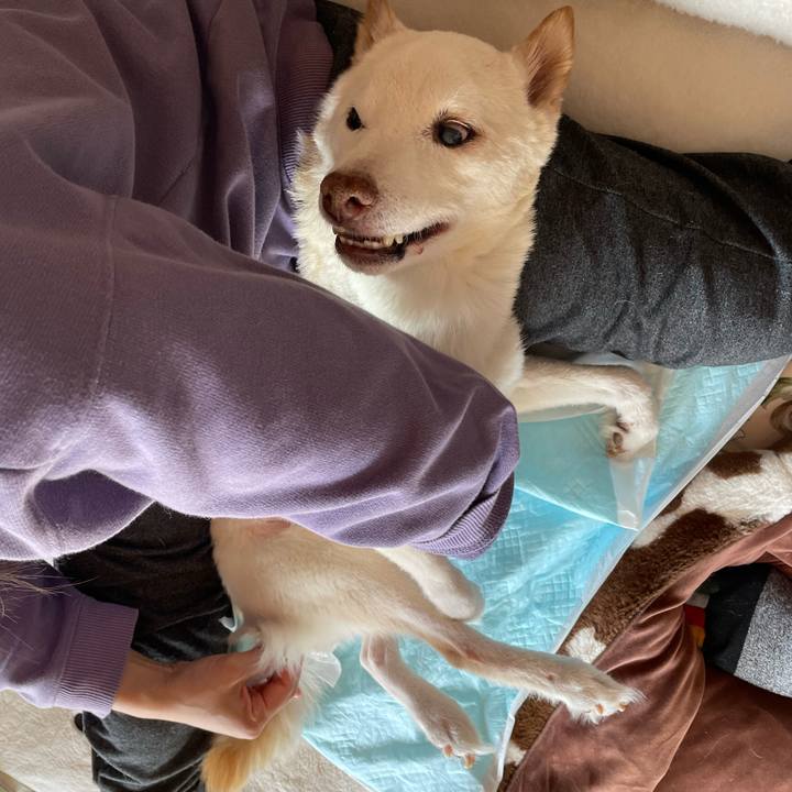 607269ed 0948 4ece baf9 91a9f295c8dc 1677810898279