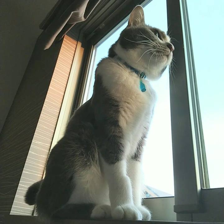 60727427 3236 4d5f 877b c2e34c522a8e 1649626787873