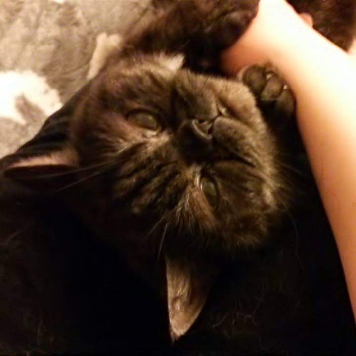 607290e5 1059 42c8 953e 5a8becbf89e2 1518649705104