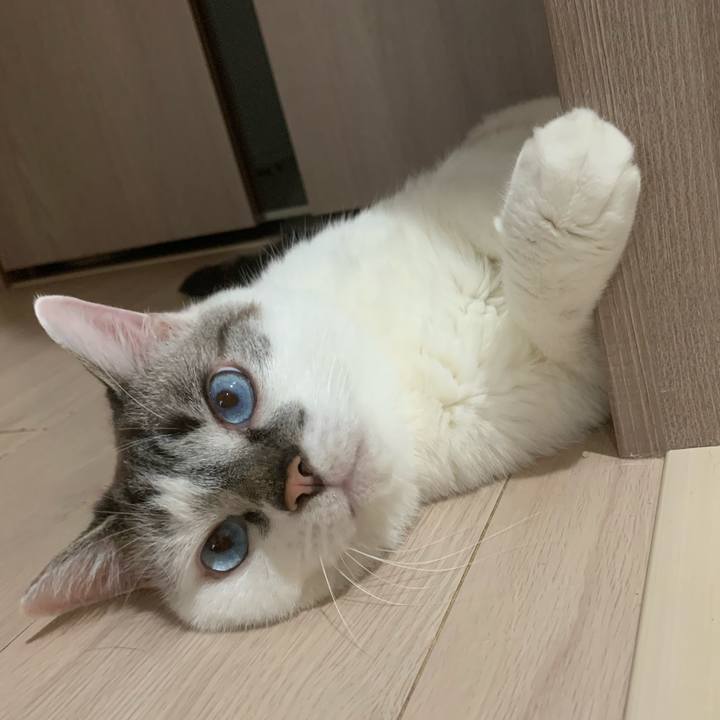 60729773 500e 4cc3 a5eb 0025c83be929 1625522526987