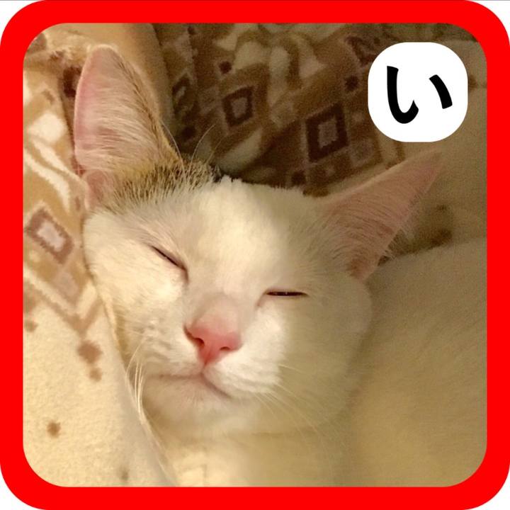 6072a7ca 6984 4022 b077 fad41dbb86cb 1515047154101