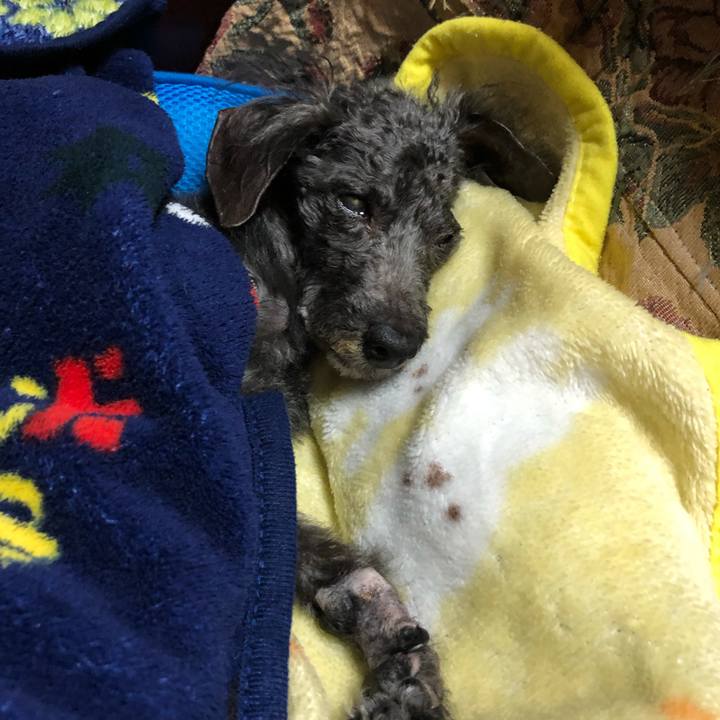 6072bea6 4052 479b 9484 4e929cfe0735 1629072918204