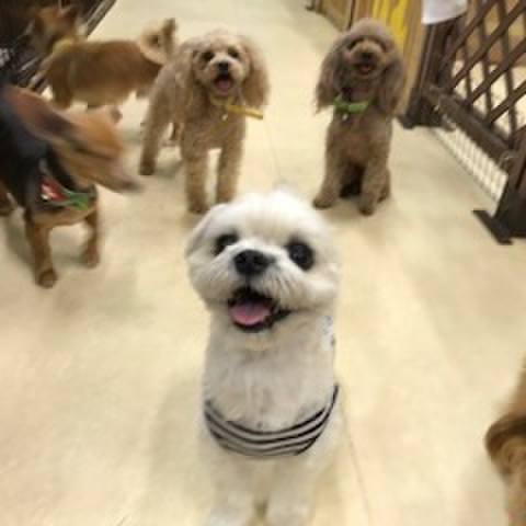 6072dca0 bc11 49b3 a447 a13a2730138e 1509622283211