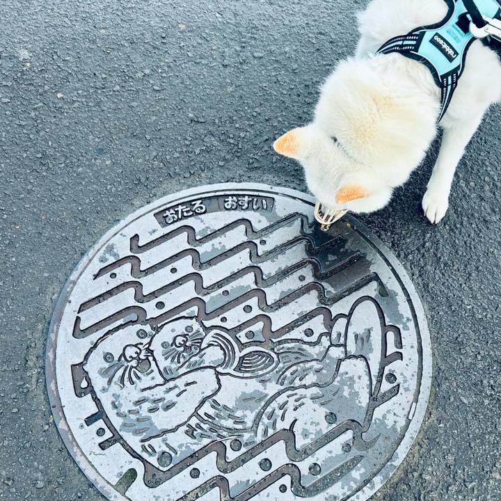 6072e935 c825 4646 9898 c2765002cf71 1685833030658