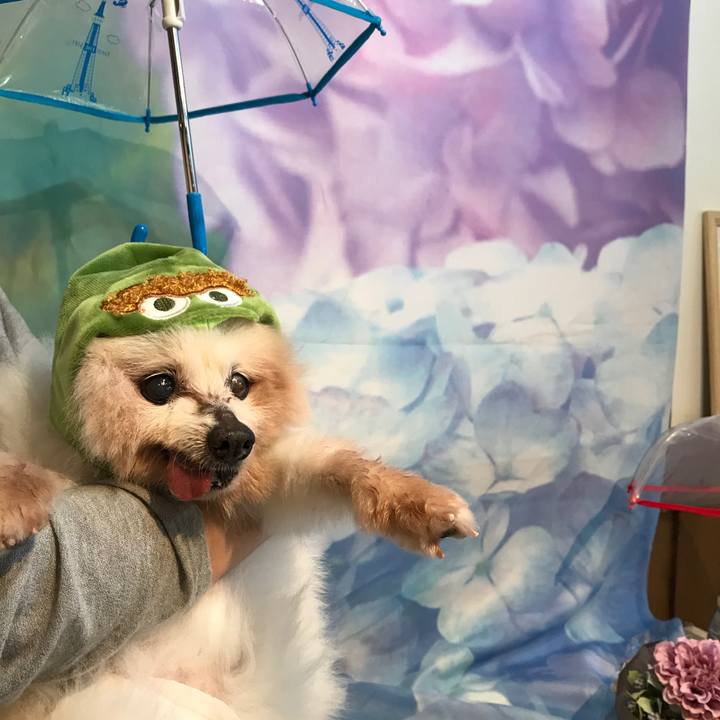 60730e4f b171 4b9a af52 518bbecf8069 1530632363635