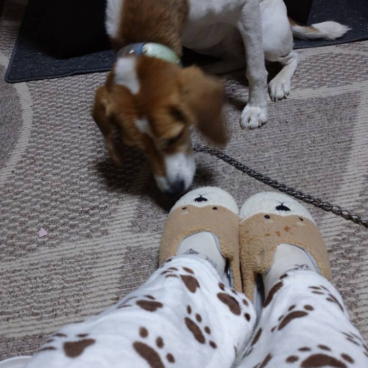 607363a9 2dda 4d16 9975 90f882d063b2 1607253757032