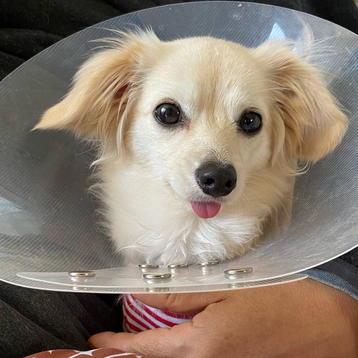 60737dc7 5e17 4558 a753 c514285e5986 1644980846310