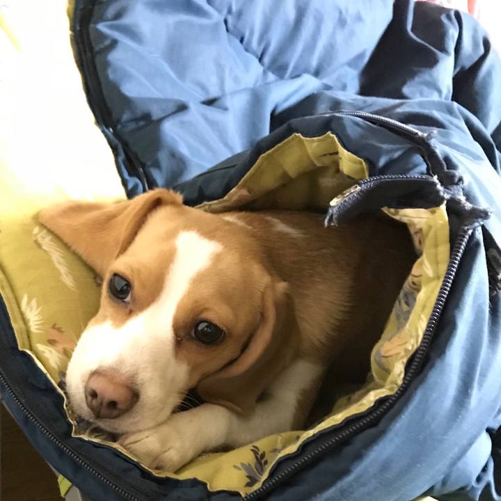 60738bd2 b008 472d 9859 3c69d94c17eb 1511908714163