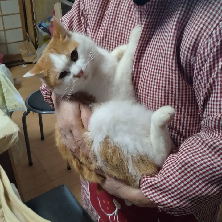 60739e50 c8a6 4632 811d 6be75457a56a 1767423741513