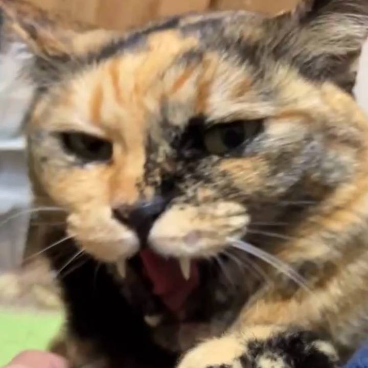 6073a440 b996 4669 9cde 23e01b94d2e1 1737711170966