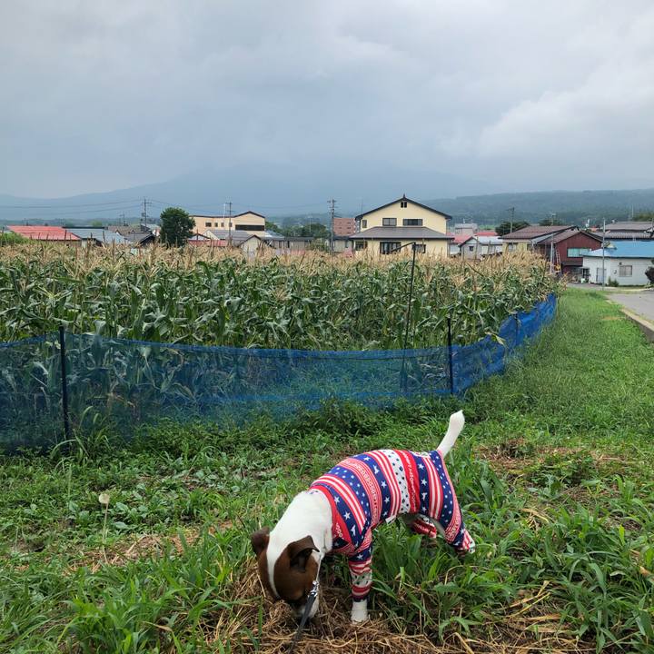 6073d299 7ef7 4f50 85cb da7b2412de83 1566194412770