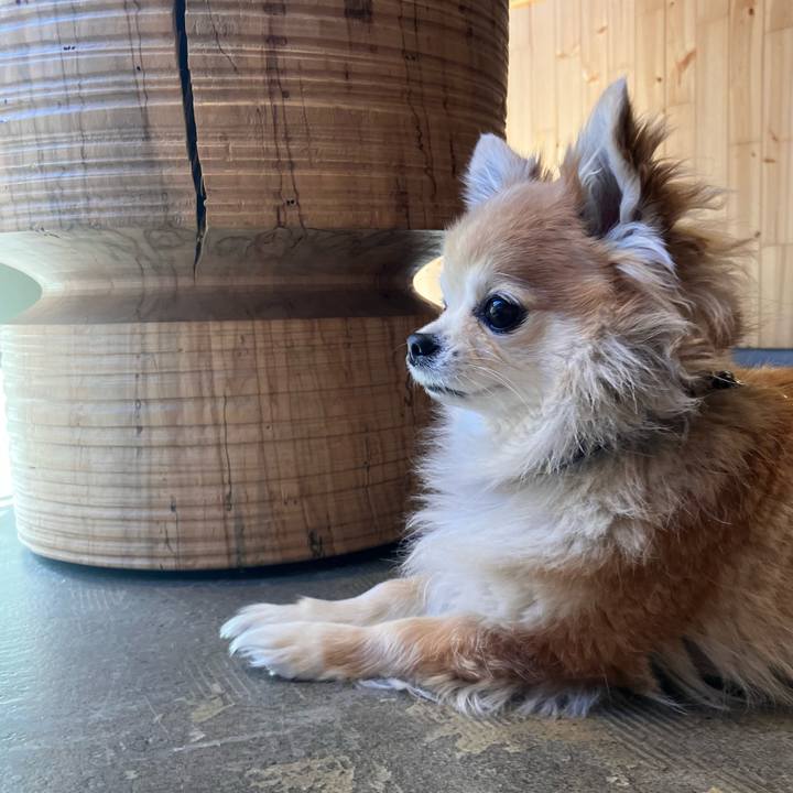 6073d982 cfa9 4ba3 a34d 32a785e2733d 1771461890703