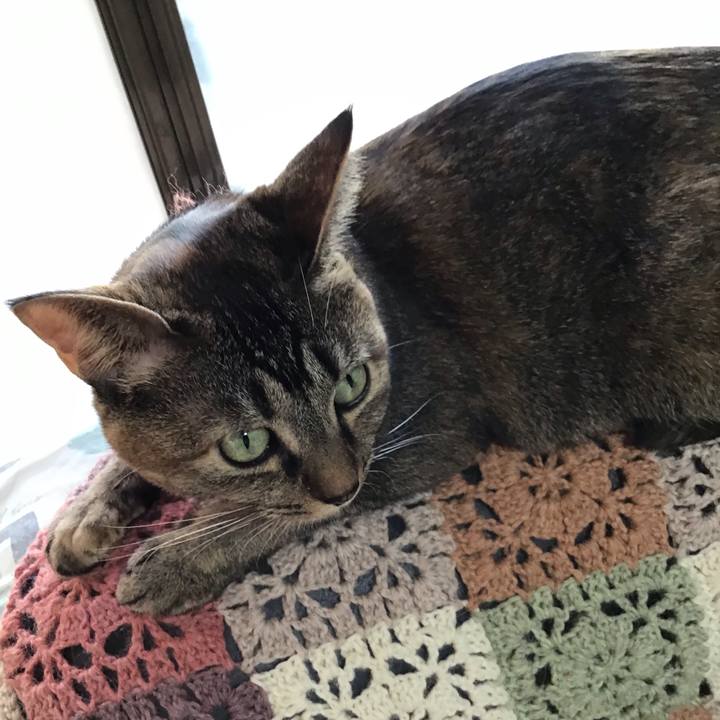 6073e3f4 c912 41eb ad17 1106d48f95bb 1643324327971