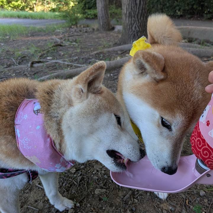 60744f2f 68bb 4a48 9592 a1c1611017ee 1752109233362