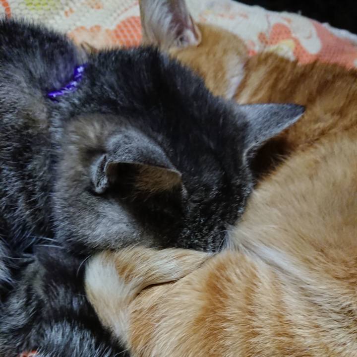 6074576a 32b1 4398 8acd a804560c0d08 1578227332390