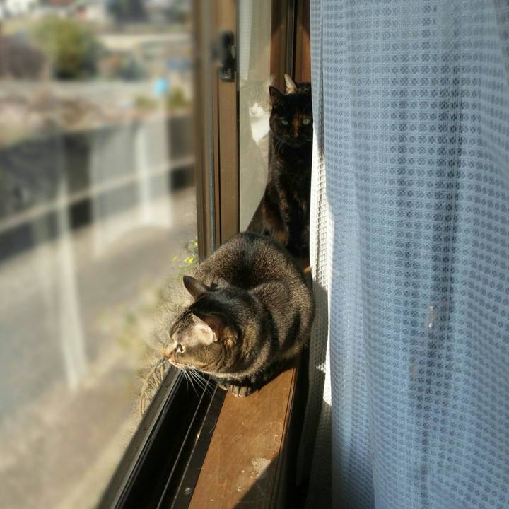 60747bfc 13ab 442b aa7a e693822a3e24 1514427580054